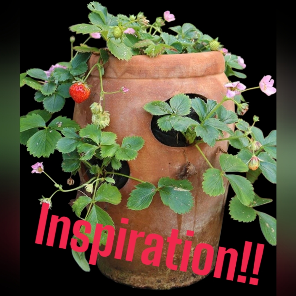 Vintage Brown Drip Strawberry Planter Jug Cottagecore 60's Farmer Homesteading - Picture 2 of 7
